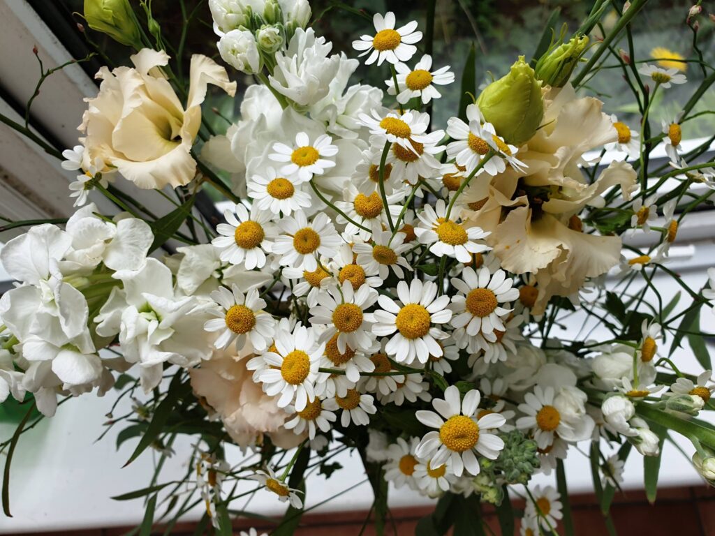 white daisy bouquet