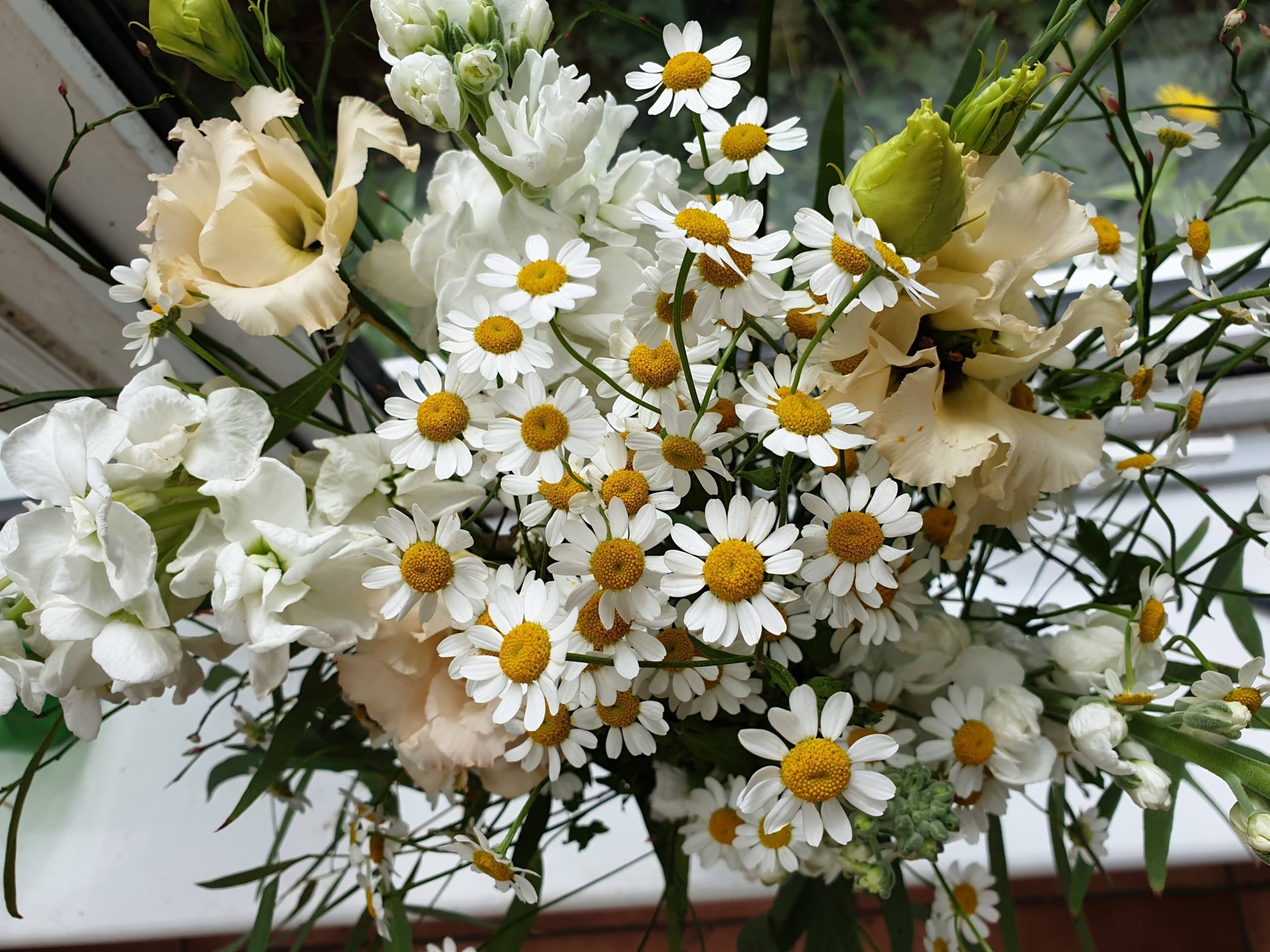 white daisy bouquet